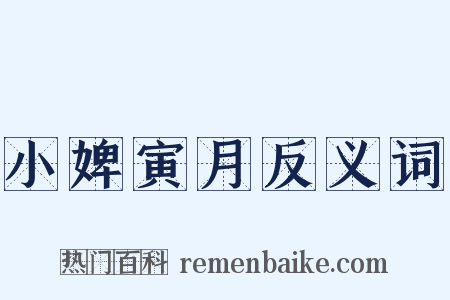 小婢寅月反义词是什么意思的图片